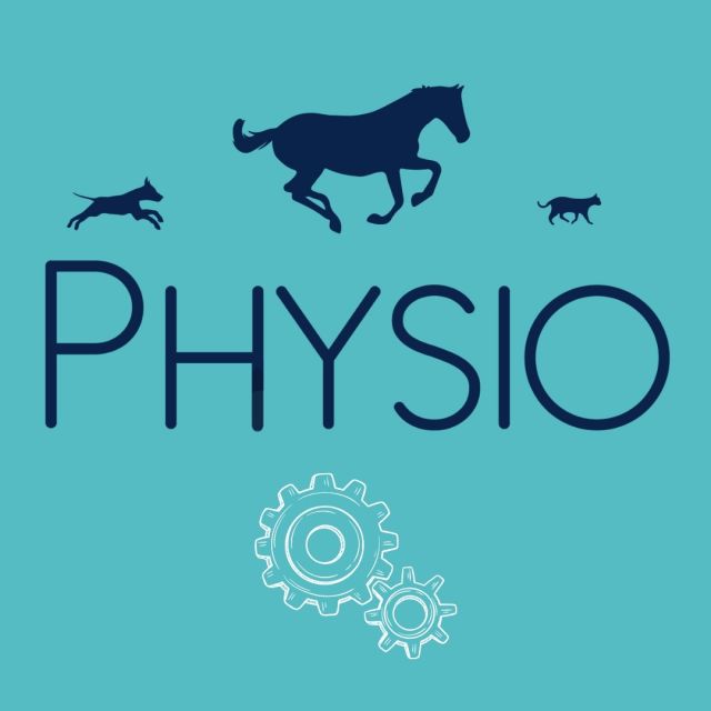 💡La physiothérapie regroupe un ensemble de techniques manuelles et instrumentales ayant pour but le fonctionnement optimal et sans douleur de l’appareil locomoteur 🤸. Ces techniques s’appliquent en préventif, en suivi sportif 💪, en accompagnement d’une pathologie à l’origine de douleurs musculo-squelettiques ♿, et en rééducation 🤕. 
J’ai choisi d’inclure l’ostéopathie dans la physiothérapie manuelle car les techniques utilisées sont complémentaires et partagent ce même objectif. Plus globalement, ma formation en ostéopathie vétérinaire me permet de prendre en charge un vaste éventail de problématiques, concernant l’appareil locomoteur ou la santé générale, et toute ma pratique peut ainsi se regrouper sous le terme de Médecine Manuelle Vétérinaire. Vous l’aurez compris, l’acupuncture est très complémentaire à cette approche 👌

🤲 Mon principal outil quand je prends en charge un animal, ce sont mes mains. Dans certaines situations, j’utilise également un laser thérapeutique de classe IV, ou un appareil d’électromyostimulation, ou encore des enveloppements aux algues.

⏩ Les séances de physiothérapie :
-	Amènent toujours du confort physique et psychique à l’animal 

-	Aident l’animal à récupérer/conserver un schéma proprioceptif optimal : cela casse le cercle vicieux des compensations musculaires et articulaires, et ainsi améliore le confort au quotidien et limite le risque de blessure.

-	Aident l’animal sportif : des séances régulières de suivi sportif en médecine manuelle vétérinaire permettent de favoriser une locomotion optimale en toutes circonstances, et de faciliter la réalisation du « geste sportif idéal », c’est-à-dire le plus mécaniquement parfait et à moindre coût énergétique. La combinaison de techniques de massages, d’étirements, et d’ostéopathie (et d’acupuncture lorsque c’est indiqué) contribuent ainsi à l’optimisation des performances 🥇🏆

-	Aident l'animal vieillissant, blessé ou atteint d’une affection chronique de l’appareil locomoteur