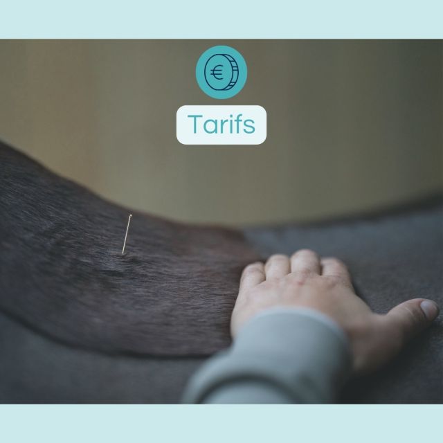 📖 La liste complète de mes prestations et leur tarif est à retrouver en toute transparence sur https://www.acuphysiovet.com/prestations-tarifs/
👉 Bon à savoir : lors de chacune de mes séances je réalise un compte-rendu complet qui vous est envoyé immédiatement à la fin du rendez-vous, au format PDF afin que vous puissiez facilement le conserver et le partager avec les autres professionnels de l’équipe de soins de votre animal.

Un ordre d’idées du tarif de mes séances (hors frais de déplacement) :
-	📍En acupuncture seule : 80€ pour la première séance ou une séance-bilan, 60€ pour une séance de suivi

-	🤲 En physiothérapie seule :
o	Une séance de soins ciblés (laserthérapie sur une blessure ou une lésion douloureuse par exemple) : 50 à 80€
o	Une séance globale (massages, étirements, ostéopathie si besoin) : 80 à 100€ pour un cheval ou poney, 60 à 80€ pour un chien 

-	🤲📍En acupuncture & physiothérapie combinées pour une prise en charge optimale : 
o	En 1ère séance ou séance-bilan : 110€ pour un chien ou chat, 150€ pour un cheval
o	En séance de suivi : 75 à 80€ pour un chien ou chat, 100 à 110€ pour cheval ou poney

-	🎯En acupuncture & physiothérapie combinées pour des soins ciblés (blessure, plaie / suros, lésion douloureuse…) : 65 à 80€